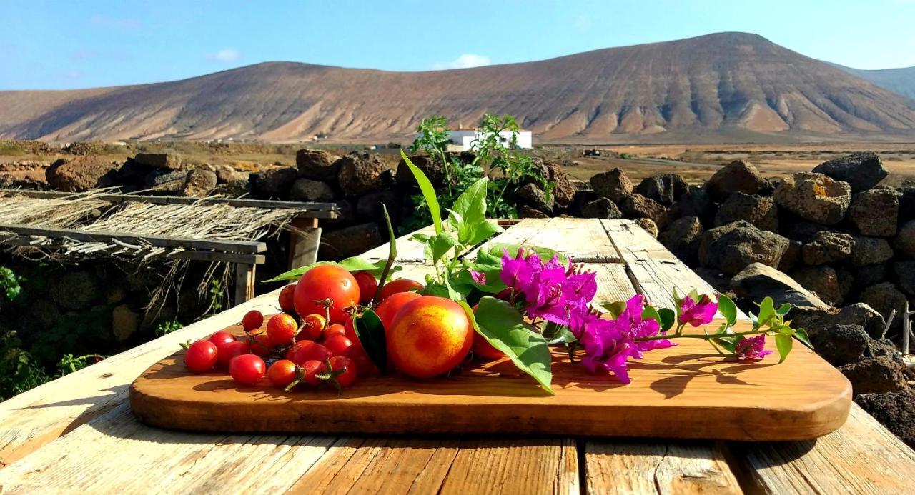 Glamping Corner - Back To Nature Ла-Олива Экстерьер фото